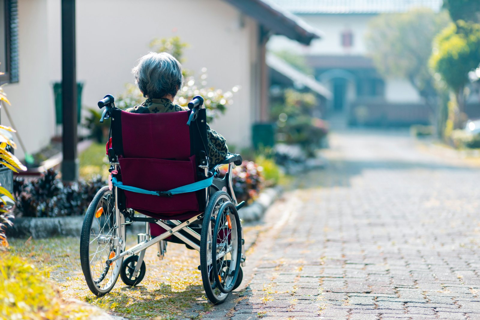 Disability support wheelchair assistance